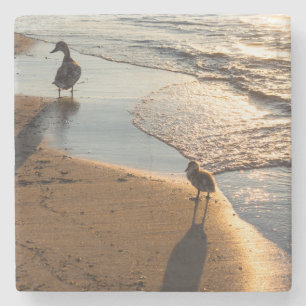 Sunset Walk With Mommy Stone Coaster