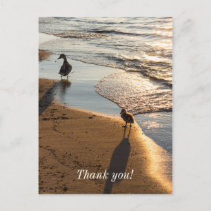 Sunset Walk With Mommy Thank You Postcard