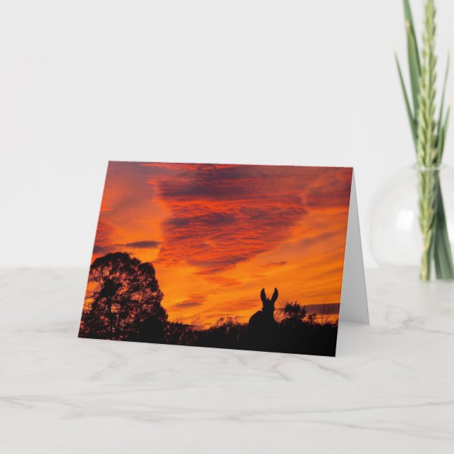 Sunset with Donkey Silhouette Greeting Card (Front)