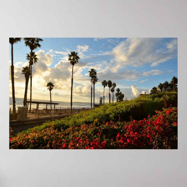 Sunset with Palm trees and Borgenvillia Poster (Front)