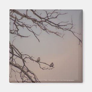 Sunset with the Shrikes Magnet