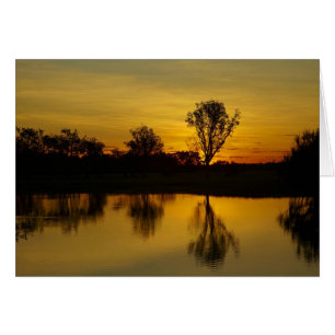 Sunset, Yellow Water Billabong