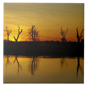 Sunset, Yellow Water Billabong Tile