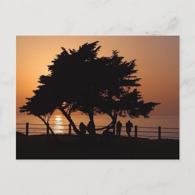Sunsets La Jolla Postcard (Front)