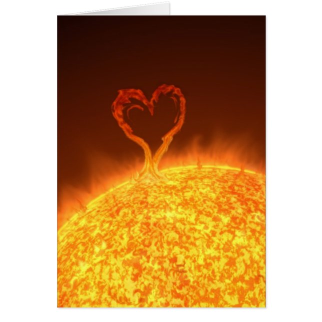 Sunshine (Front)