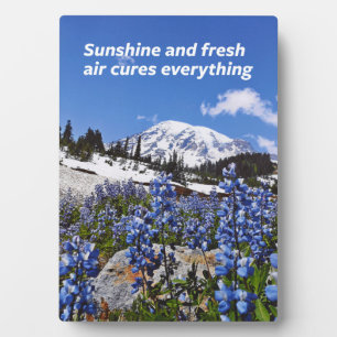 Sunshine and Fresh Air Plaque