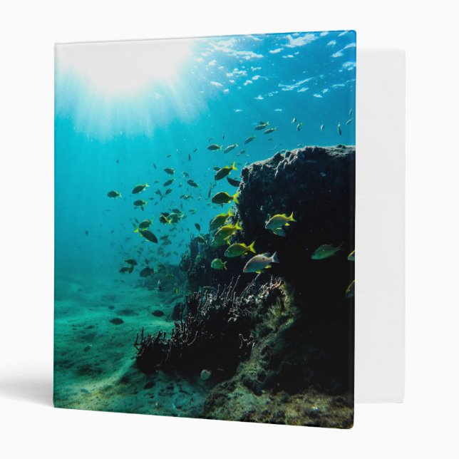 Sunshine and Tropical Fish Binder (Front/Inside)