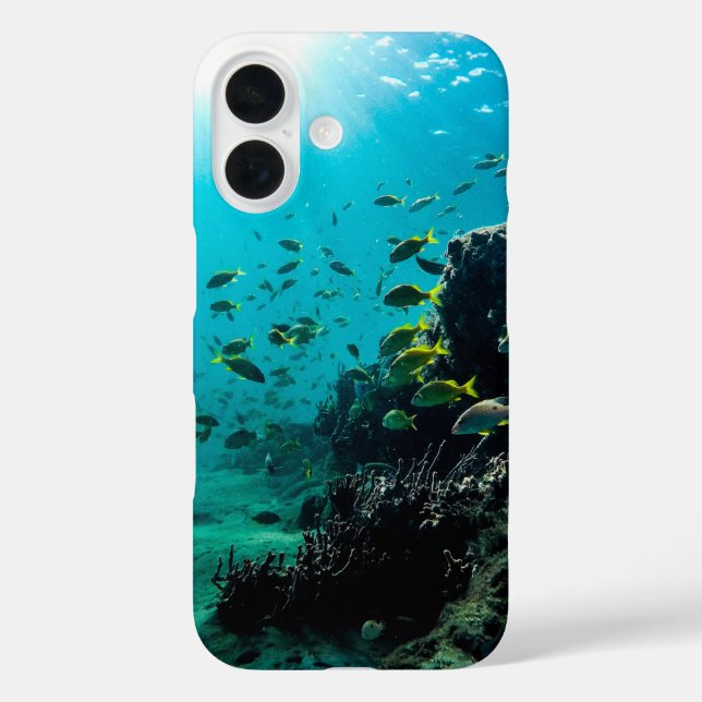Sunshine and Tropical Fish Case-Mate iPhone Case (Back)