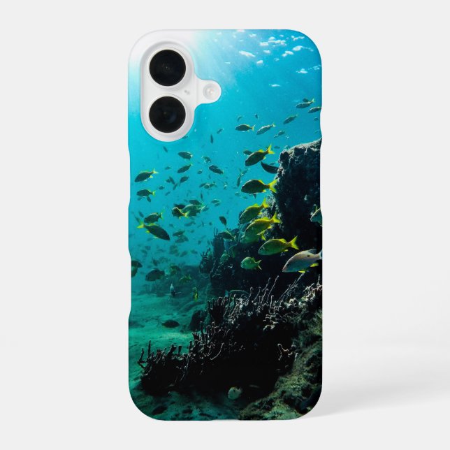 Sunshine and Tropical Fish iPhone 16 Case (Back)