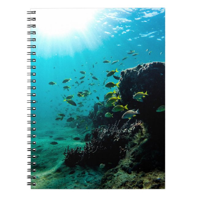 Sunshine and Tropical Fish Notebook (Front)