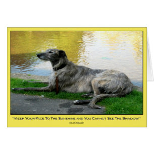 Sunshine, card, blank inside