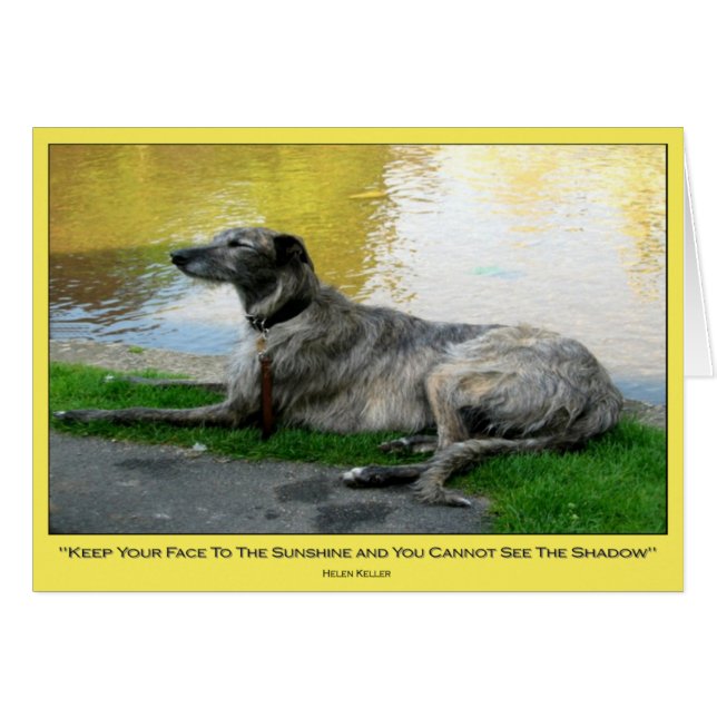 Sunshine, card, blank inside (Front Horizontal)