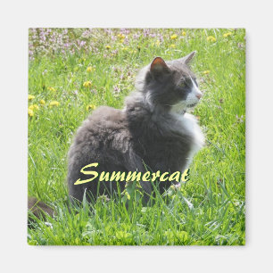 Sunshine Cat Magnet