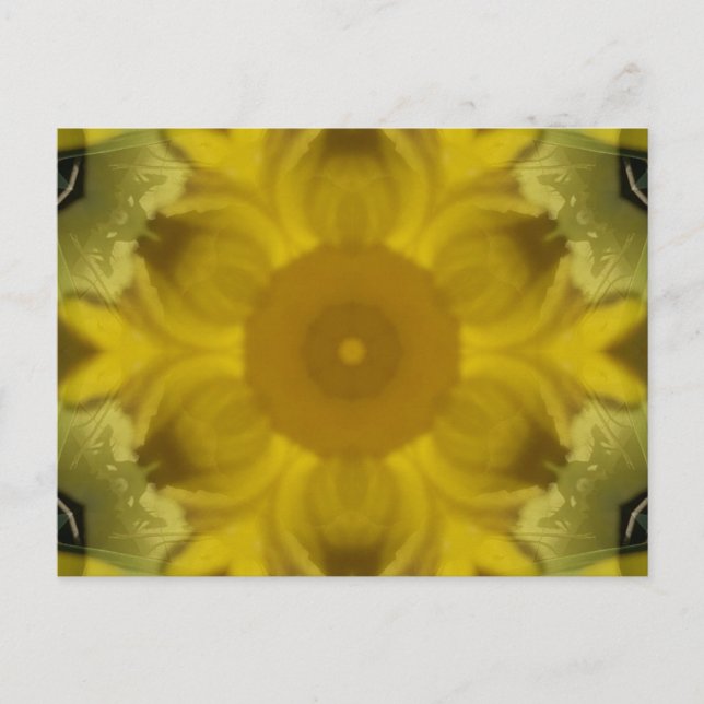 Sunshine Flower Burst Golden Postcard (Front)