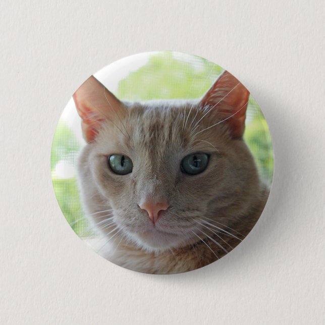 Sunshine Kitty 2 Inch Round Button (Front)
