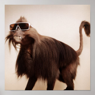 sunshine monkey poster