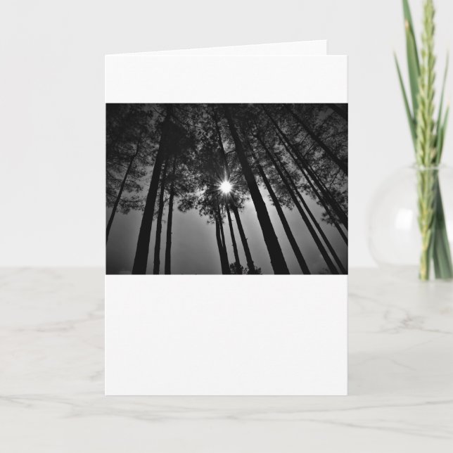 Sunshine / Noir, card (Front)