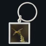 Sunshine on a landed Dragonfly Keychain<br><div class="desc">A dragon fly resting on a flower stem. Shallow DOF.</div>