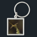 Sunshine on a landed Dragonfly Keychain<br><div class="desc">A dragon fly resting on a flower stem. Shallow DOF.</div>
