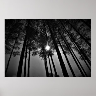 Sunshine, Poster