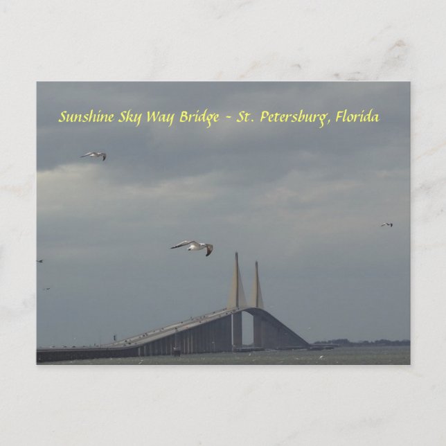 Sunshine Sky Way Bridge St Petersburg, Florida Postcard (Front)