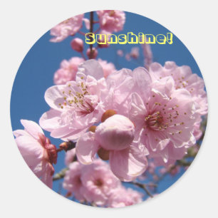 Sunshine! stickers Pink Spring Flower Blossoms