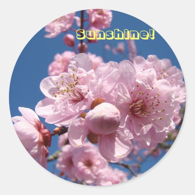 Sunshine! stickers Pink Spring Flower Blossoms (Front)