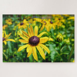 Sunshine Susans Jigsaw Puzzle