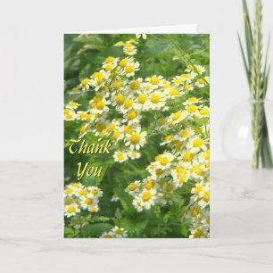 Sunshine Thank You Card