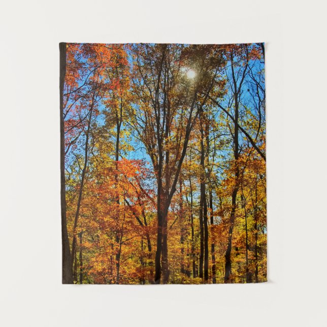 Sunshine through Autumn Fall Forest Tapestry (Front)