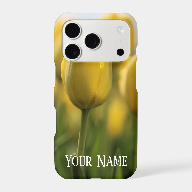 Sunshine tulips (Back)
