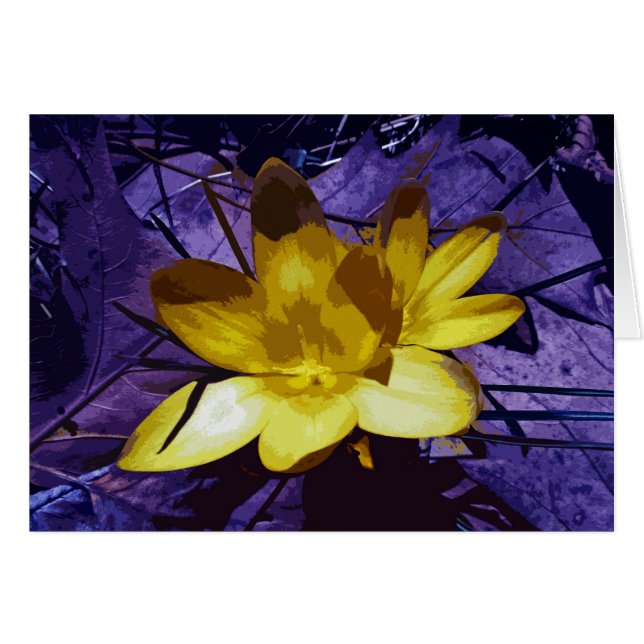 Sunshine Yellow Crocus (Front Horizontal)