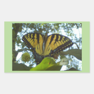 Sunshine Yellow Monarch Sticker