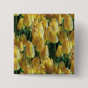 Sunshine Yellow Tulips 2 Inch Square Button