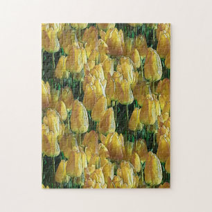 Sunshine Yellow Tulips Jigsaw Puzzle