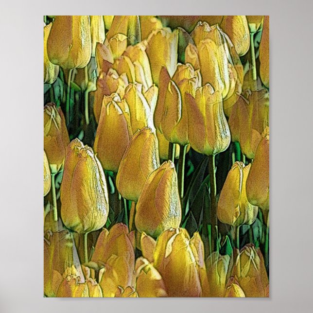 Sunshine Yellow Tulips Poster (Front)