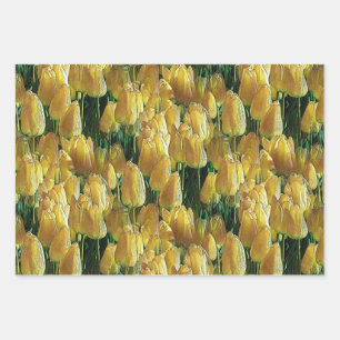 Sunshine Yellow Tulips Wrapping Paper Sheet