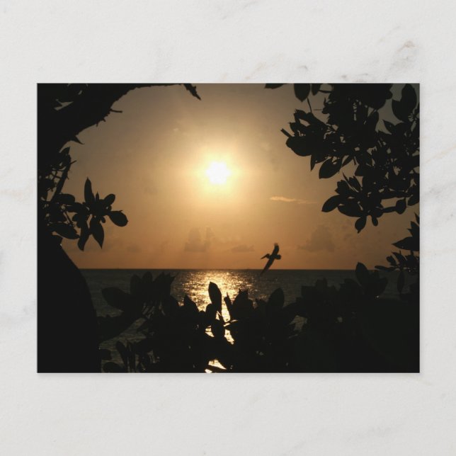 sunst postcard (Front)