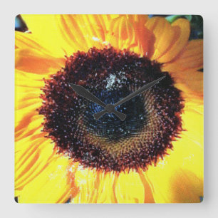 SUNTIME SQUARE WALL CLOCK