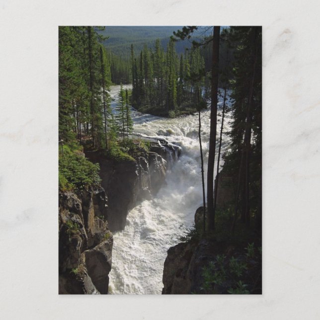 Sunwapta Falls In Jasper National Park Postcard (Front)