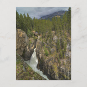 Sunwapta Falls Postcard