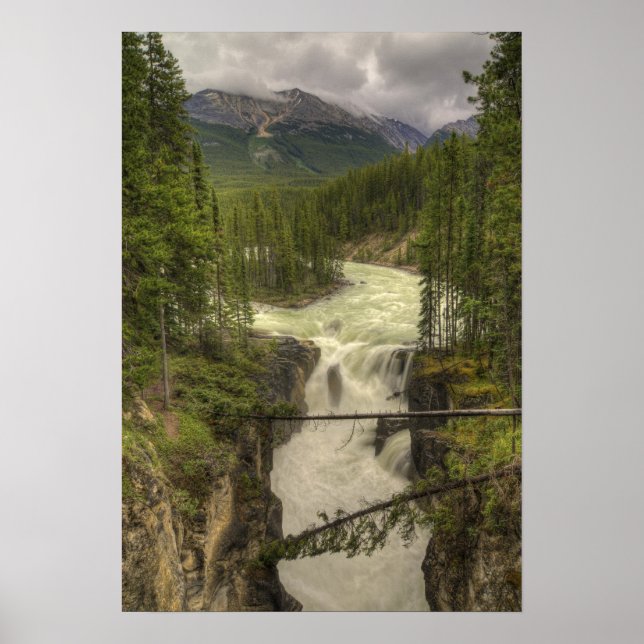 Sunwapta Falls Poster (Front)