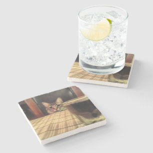 Sup Beer? Funny Humour Kitty Cat Photo Photography Stone Coaster