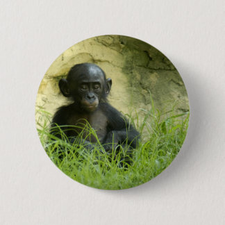 Sup? DArcy Evans Photo 2 Inch Round Button