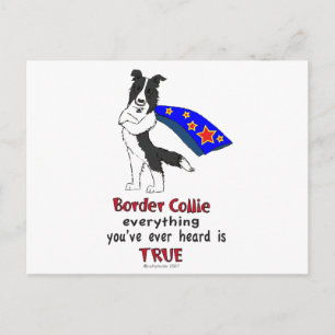 super Border Collie black Postcard