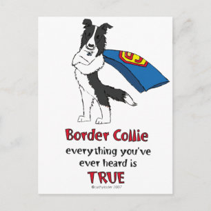 Super Border Collie Black Postcard