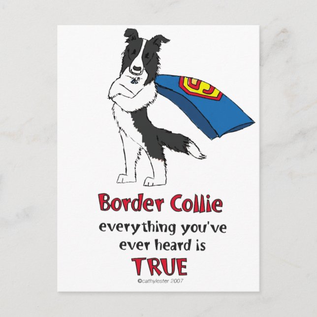 Super Border Collie Black Postcard (Front)