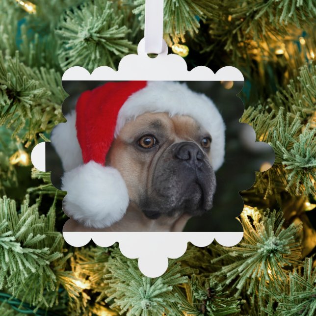 Super CHEAP Christmas Gift Personalized Photo  Ornament Card (Insitu (Tree))