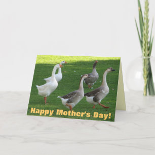 Super Cool Mother's Day Card! Card