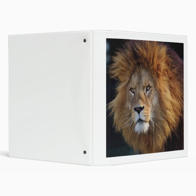 Super Cool Wildlife Binder (Background)